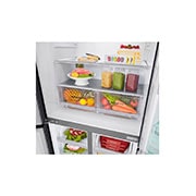 LG 594L side-by-side-fridge with InstaView Door-in-Door™ in Matt Black, GF-Q4919MT, GF-Q4919MT, thumbnail 11