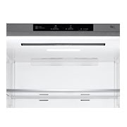 LG 454L Bottom Freezer Refrigerators with Inverter Linear Compressor in Platinum Silver, GB-B4059PZ shelf view, GB-B4059PZ, thumbnail 4