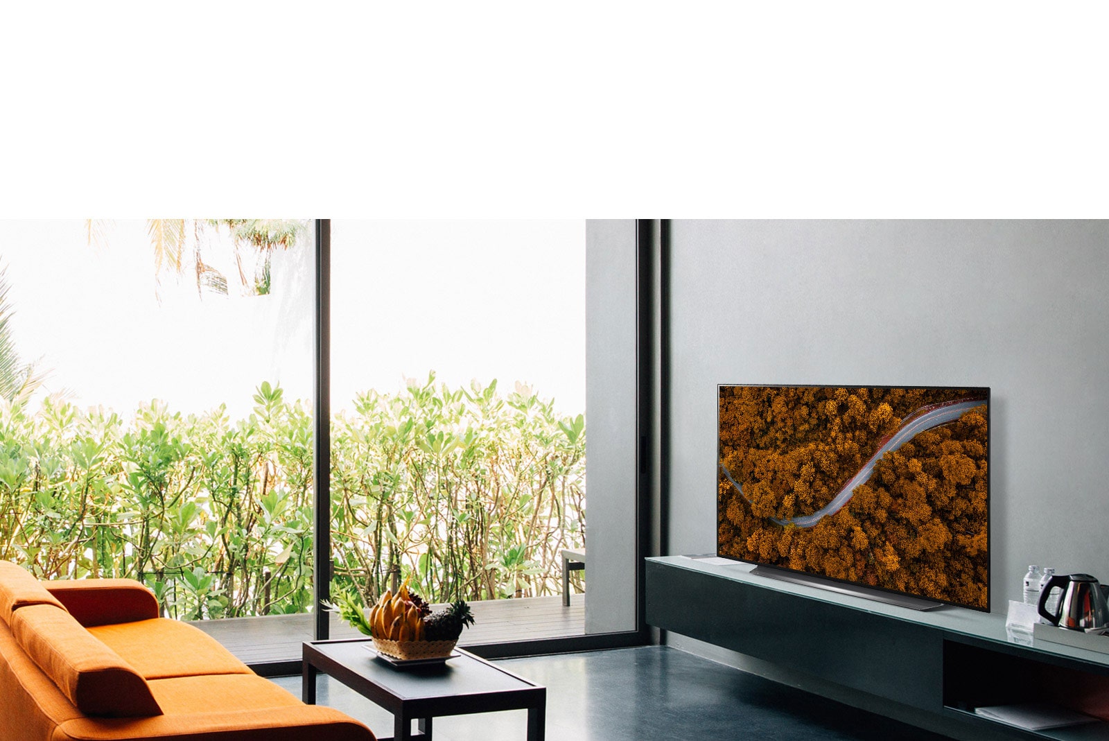 Living room with a sofa and a TV showing an aerial view of nature