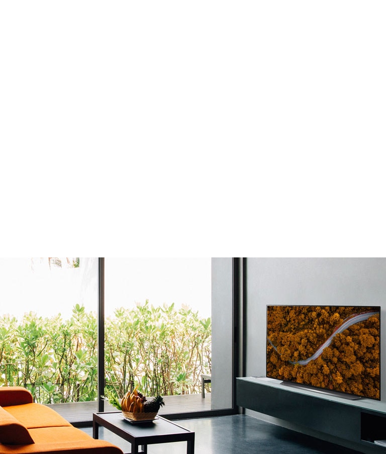 Living room with a sofa and a TV showing an aerial view of nature