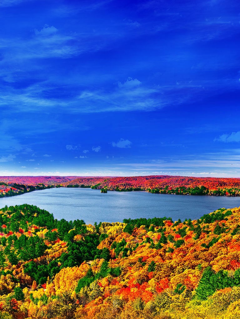 Quad Core Processor, The Origin of Lifelike Images