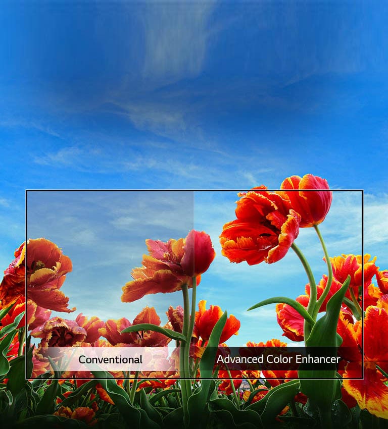 Dynamic Color Enhancer