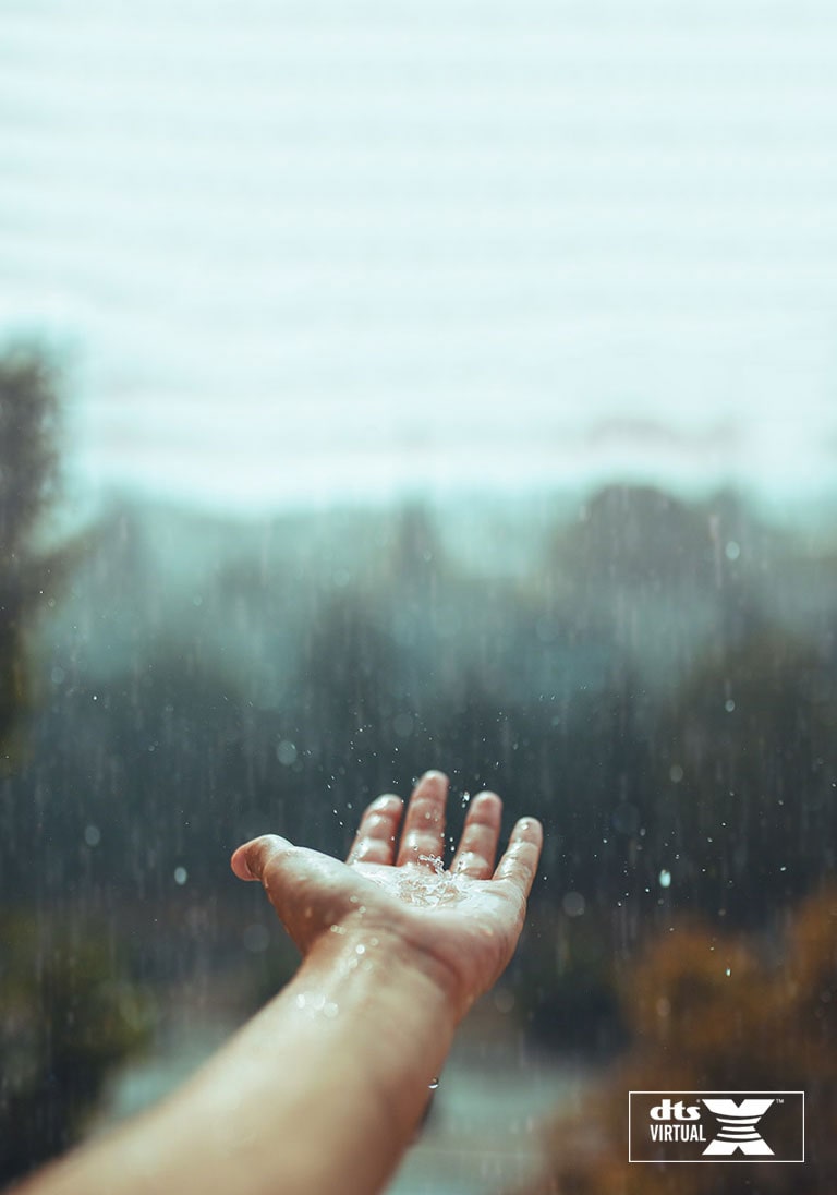 DTS Virtual:X<br>Adding Another Dimension to Sound