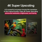 LG 43 Inch LG UHD AI UA84 4k Smart TV 2025, Before and after comparison of how LG 4K Super Upscaling improves image quality. Two panels showing the same image of a colorful bird sitting on a branch in a forest, panel on the right is faded out. , 43UA8450PSA, thumbnail 6