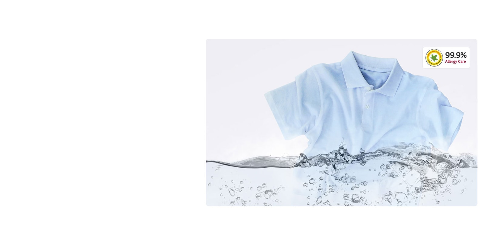 Stain & Allergy Care with Steam