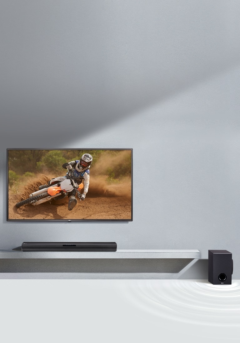 Belaidis žemadažnis garsiakalbis<br>2