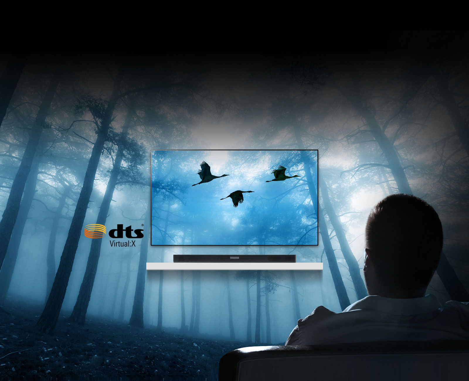 Užtikrina sodrų, trimatį erdvinį garsą1