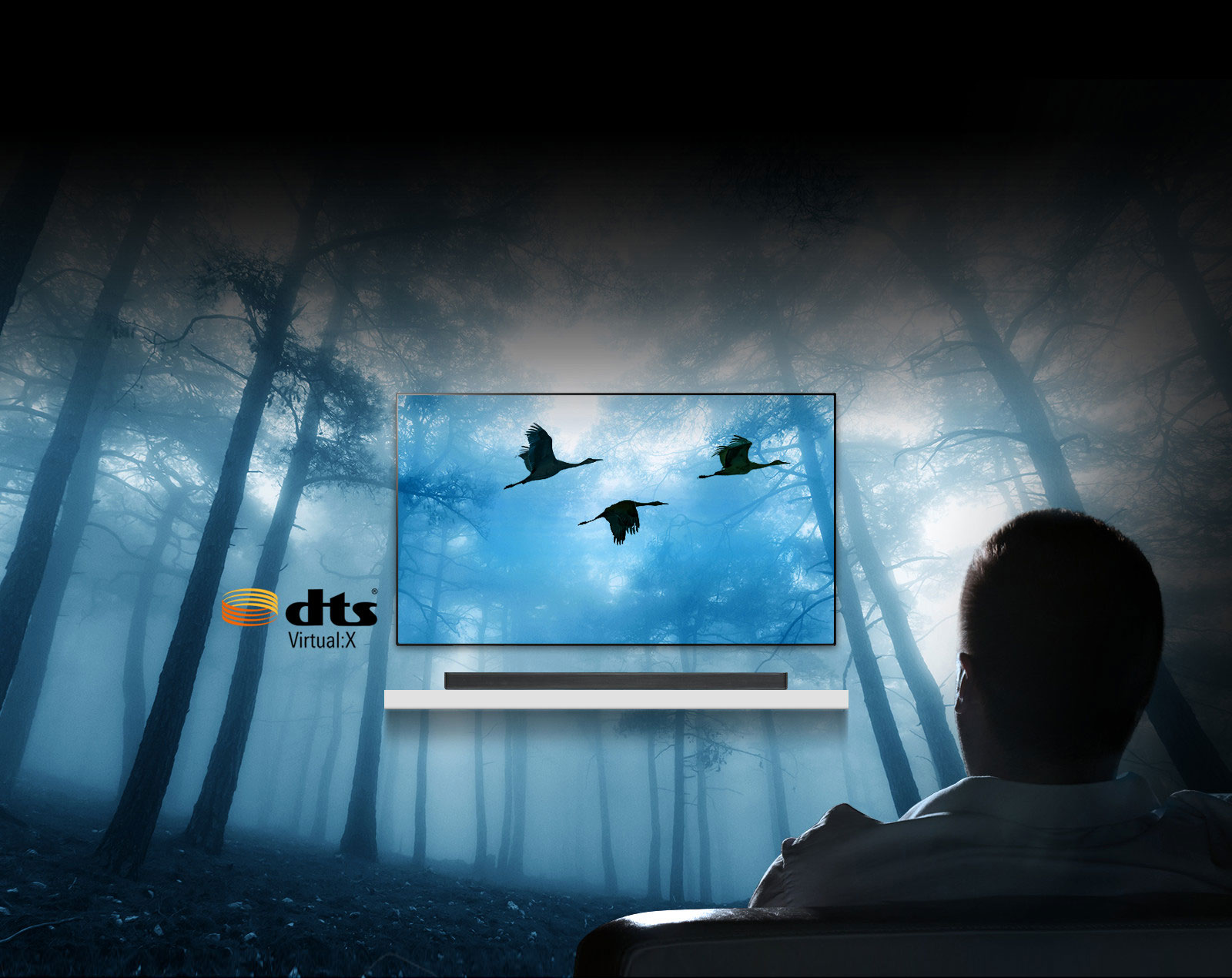 Užtikrina sodrų, trimatį erdvinį garsą1