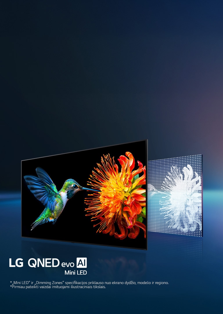 „LG QNED evo AI Mini LED“ su „Mini LED“ ir „Precision Dimming Ultra“ technologijomis rodo ryškų kolibrio ir gėlės vaizdą juodame fone; šalia pateikiamas smulkiai išdėstytų „Mini LED“ skydelio ir galinės dalies grafinis vaizdas, iliustruojantys tikslų šviesos valdymą.