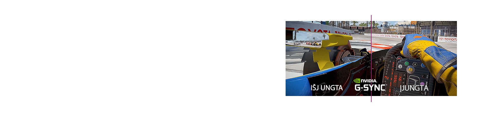 NVIDIA G-SYNC™<br>1