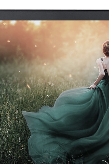 standartinis režimas