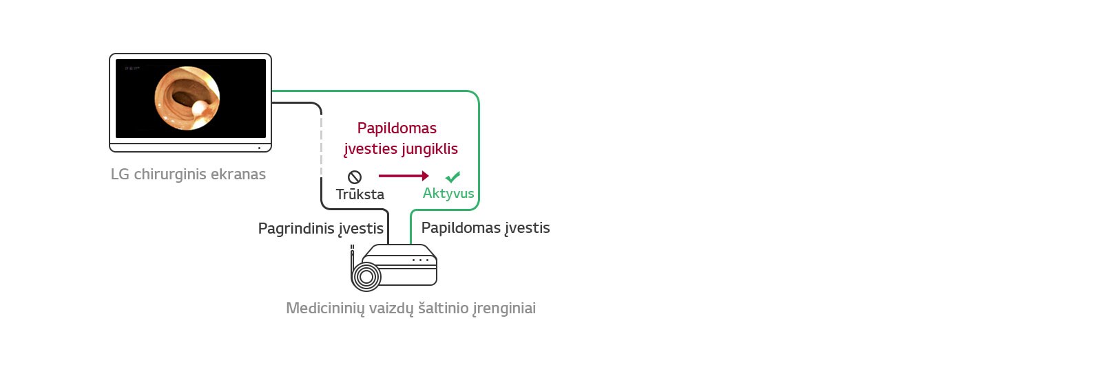 Papildomas įvesties jungiklis: Kai trūksta pagrindinio šaltinio, ekranas automatiškai persijungia į papildomą šaltinį ir atkuria pagrindinį šaltinį, kai signalas sugrįžta.