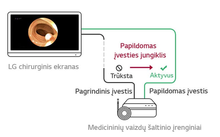 Papildomas įvesties jungiklis: Kai trūksta pagrindinio šaltinio, ekranas automatiškai persijungia į papildomą šaltinį ir atkuria pagrindinį šaltinį, kai signalas sugrįžta.