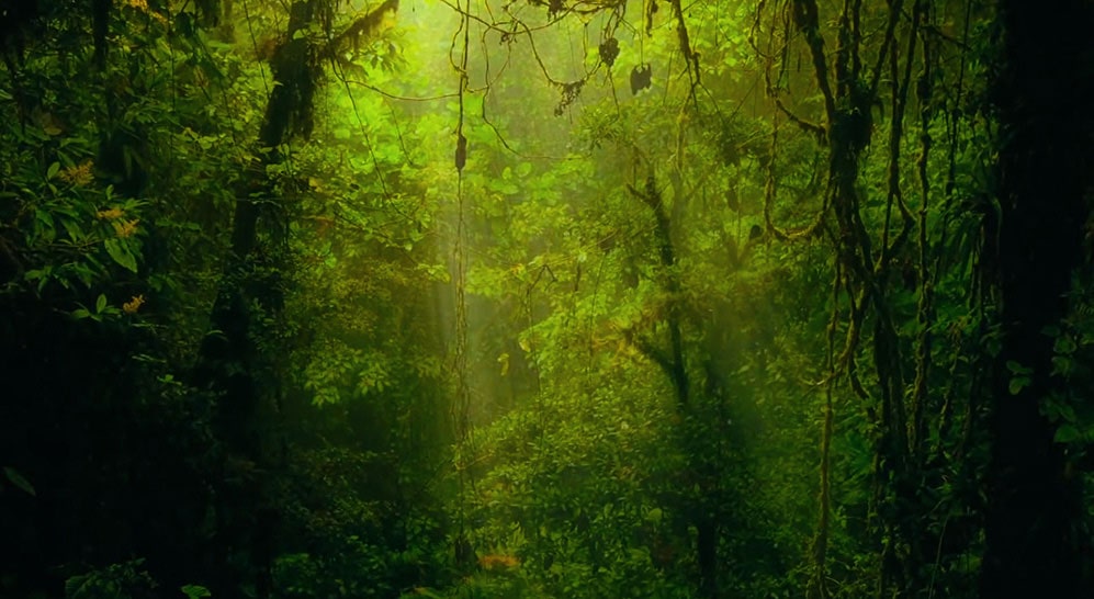 E7_A_Dolby-Atmost-(sub-1)