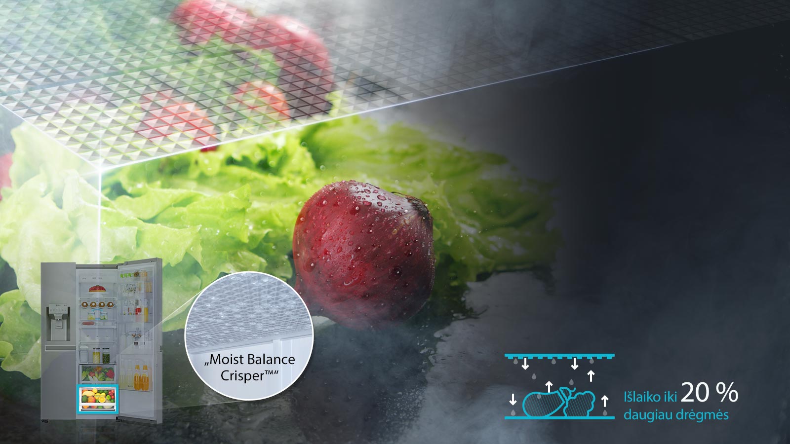 Moist Balance Crisper