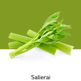 REF-NatureFRESH-Vplus-03-UsefulTips-04-7-Celery