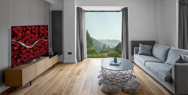 Svetainė su sofa ir televizorius, kuriame vaizduojamas iš aukštai nufilmuotas peizažas