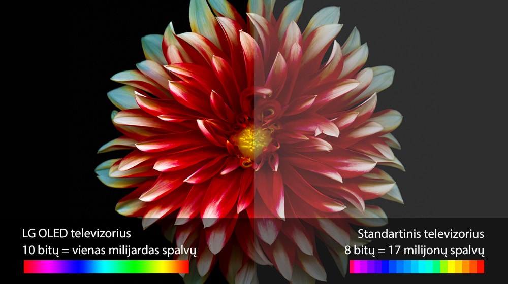 02_C7_A_Perfect-Color-on-Perfect-Black-(sub)-v1_xl_170401_xl_LT_B7V_SUB1