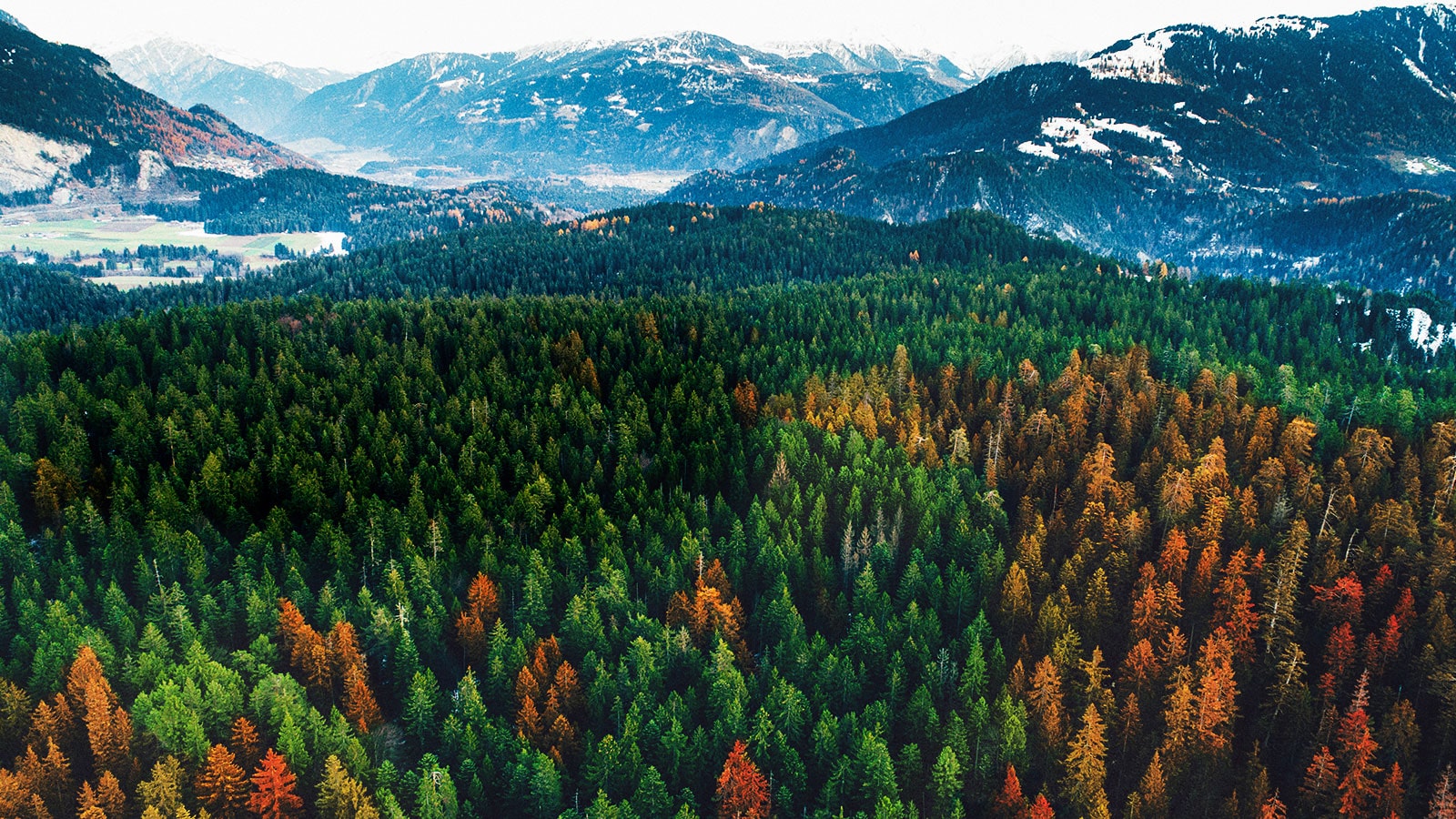 Kokybiško vaizdo branduolys<br>1