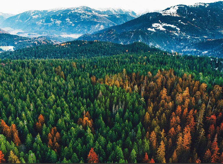 Kokybiško vaizdo branduolys<br>2