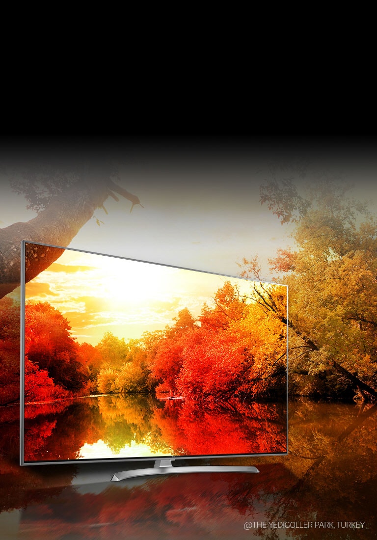 Įspūdingos spalvos – milijardas sodrių spalvų<br>2