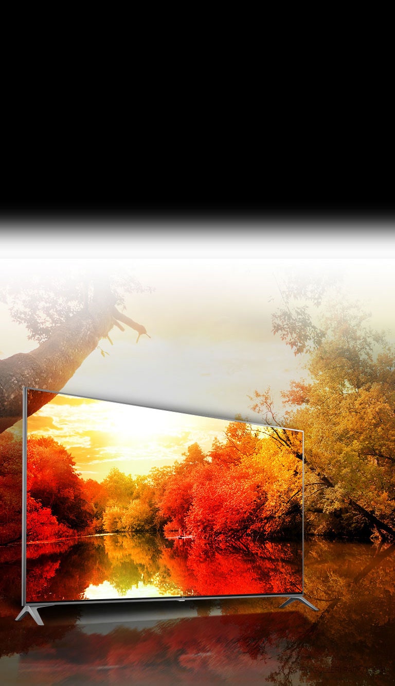 Įspūdingos spalvos – milijardas sodrių spalvų2