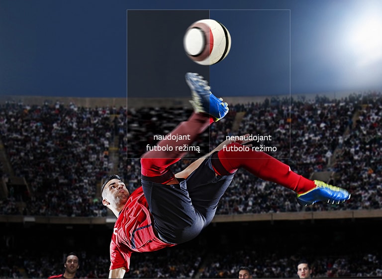 Visas veiksmas – jūsų svetainėje<br>2