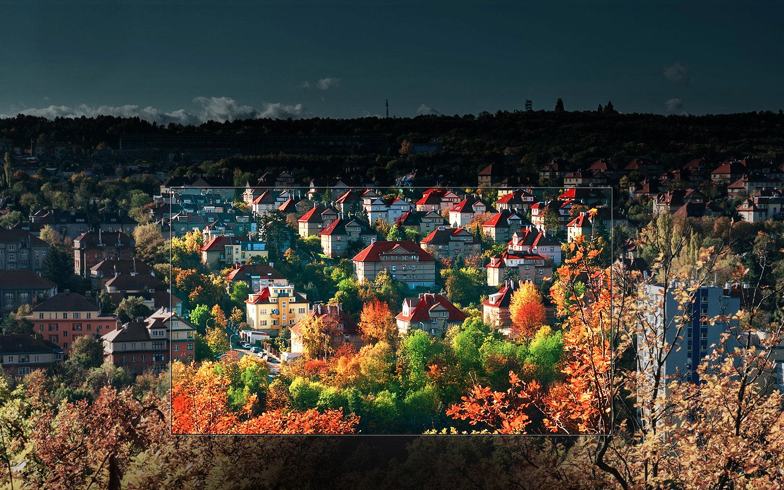 Neįtikėtinos spalvos „Nano Cell™ ekrane<br>1