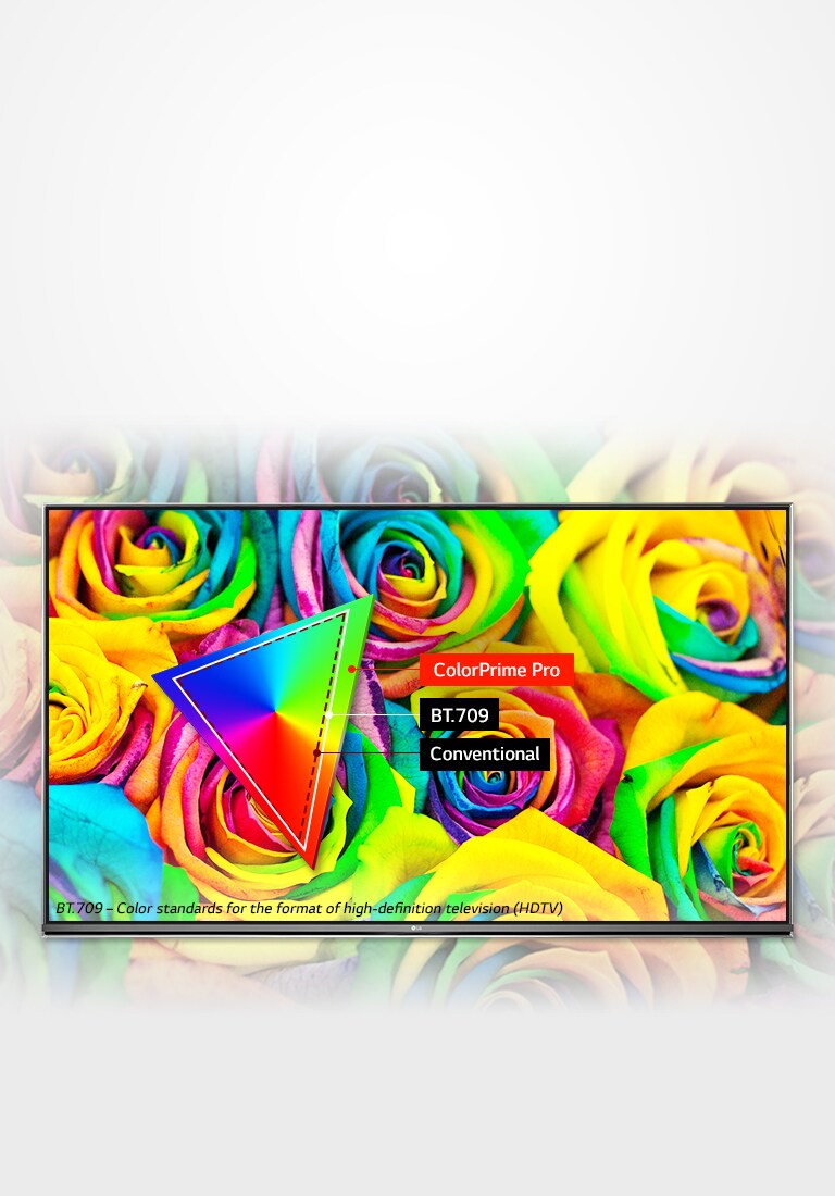 „ColorPrime Pro