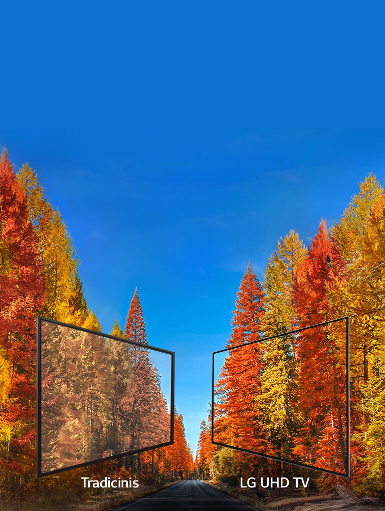 Vienodai kokybiškas vaizdas žiūrint bet kuriuo kam2