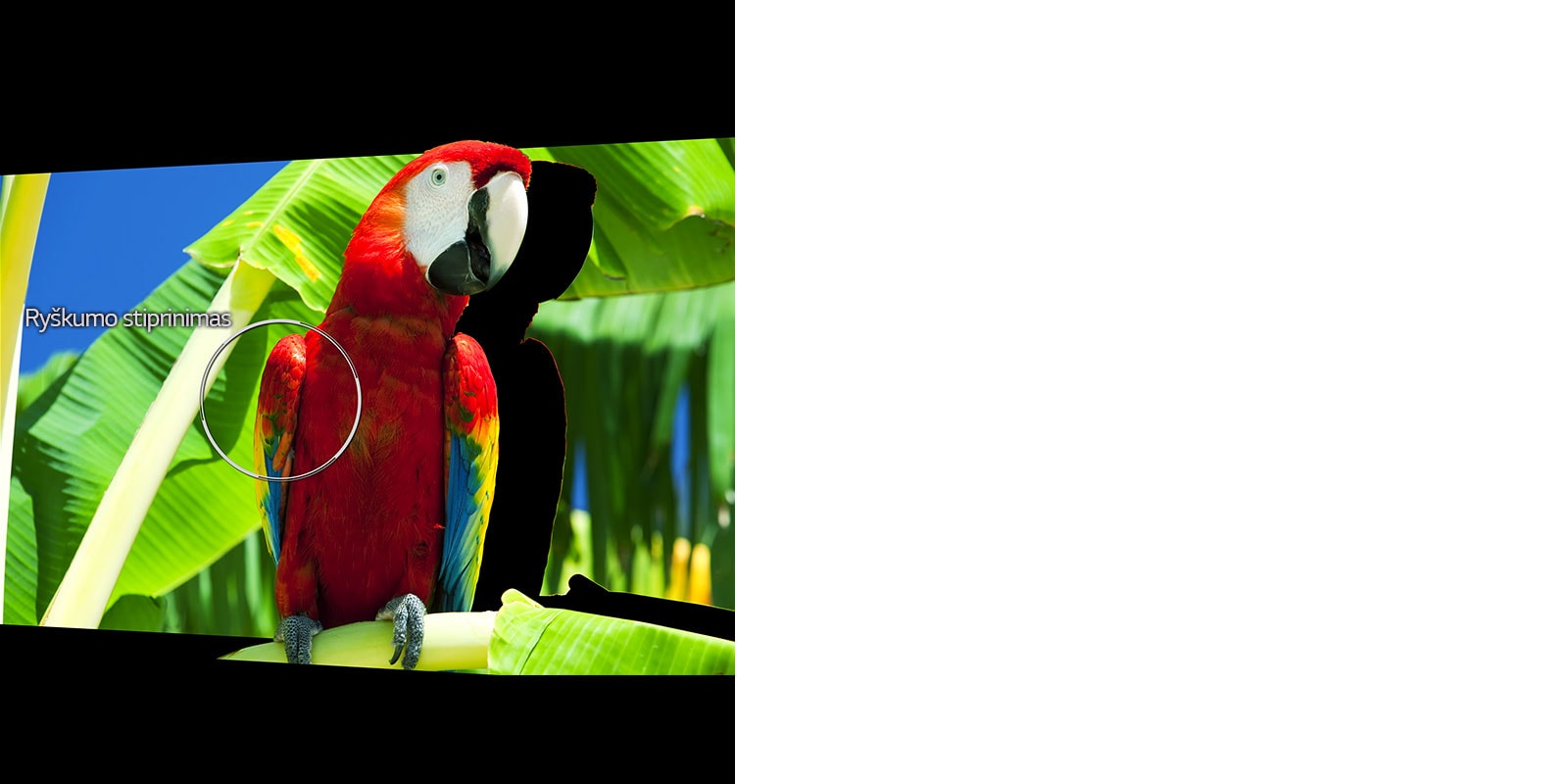 04_Alpha9_Sharpness_Enhancer_desktop-v2