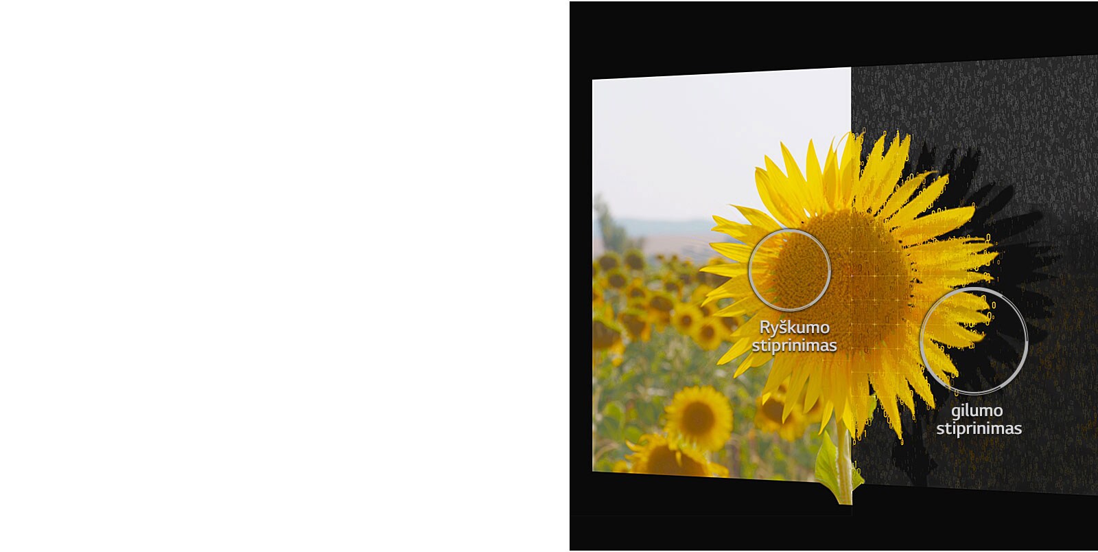 05_Alpha9_Depth_Enhancer_desktop-v1