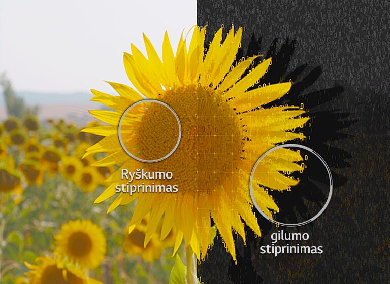 05_Alpha9_Depth_Enhancer_mobile