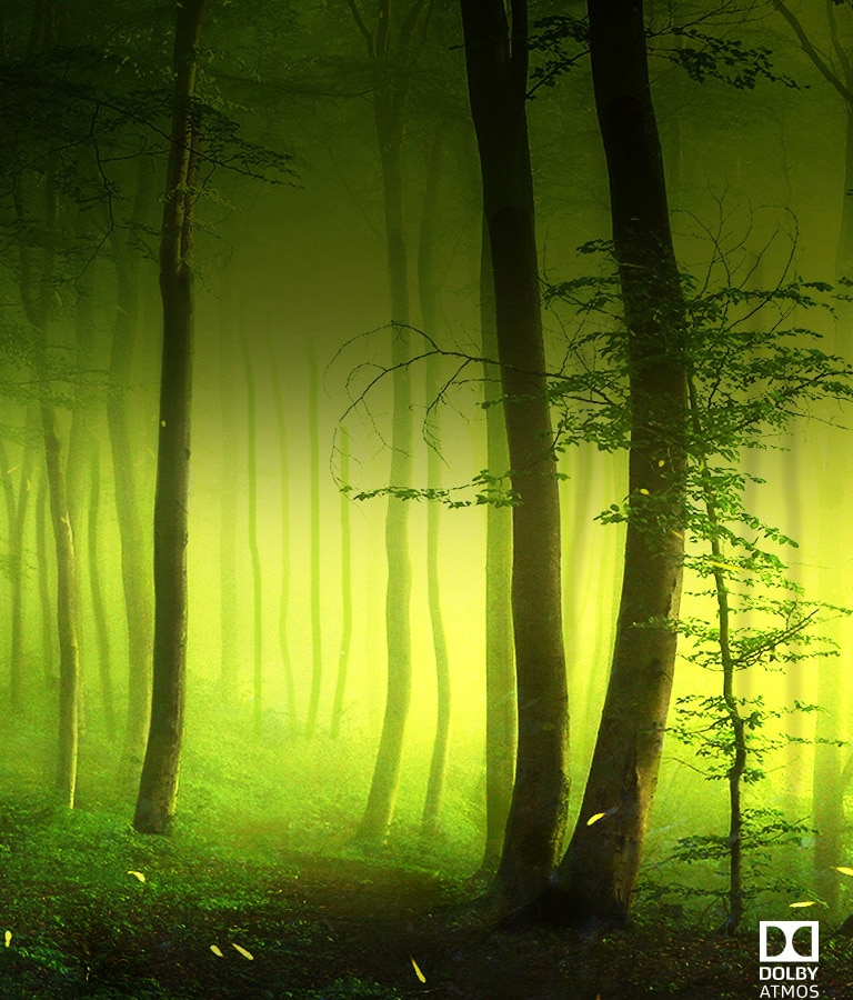 „Dolby Atmos® Kino garsas namuose<br>2