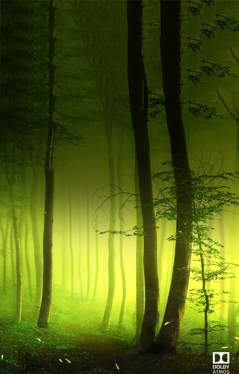 „Dolby Atmos® Kino garsas namuose<br>2