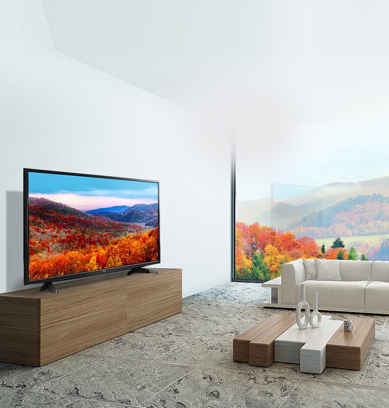 Dailus tiek iš vidaus, tiek iš išorės<br>2