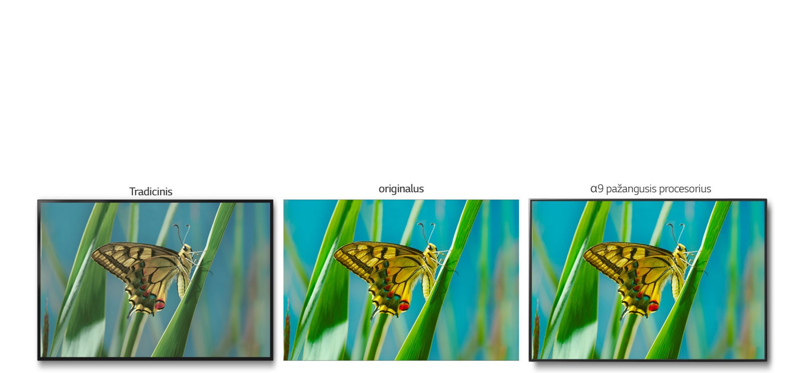 06_Alpha9_Color_Accuracy_desktop-v1