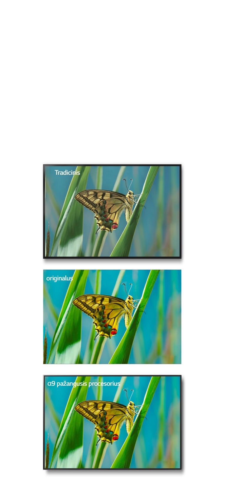 06_Alpha9_Color_Accuracy_mobile-v3