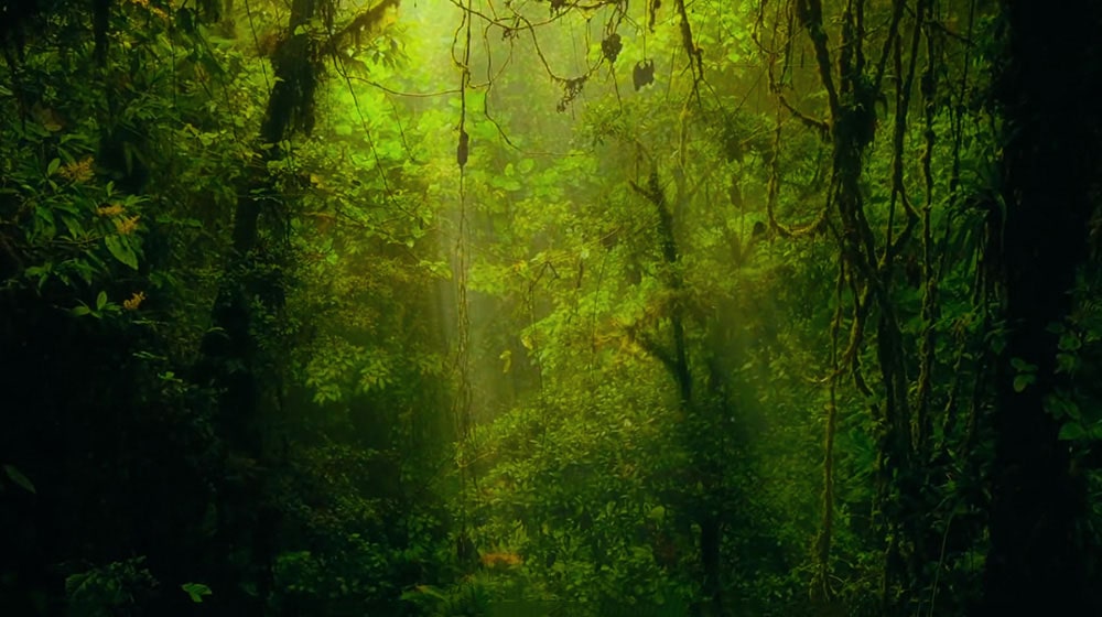 06_B8_A_Dolby_Atmos_desktop_sub-v1