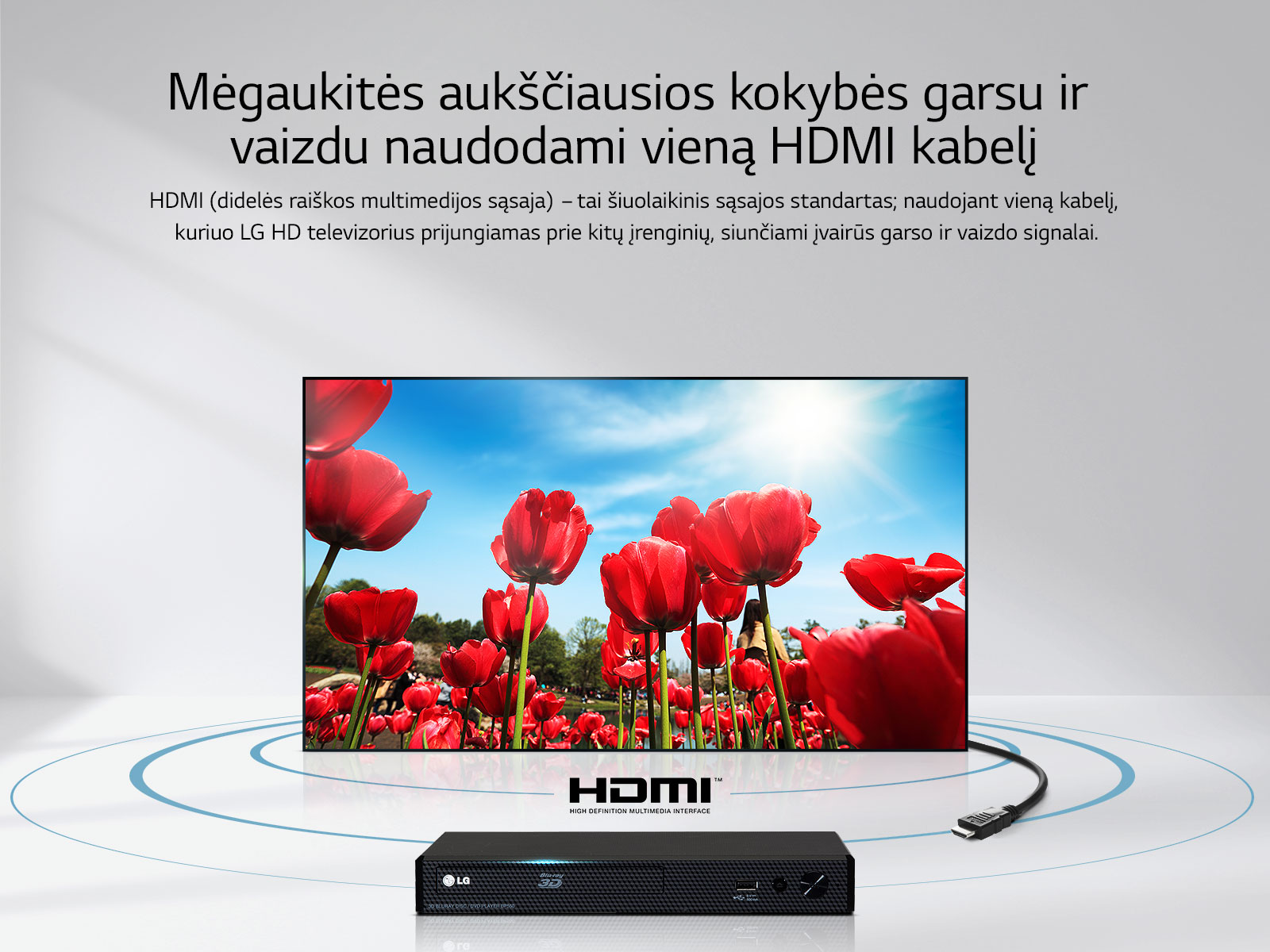 06_LT_LJ594_HDMI