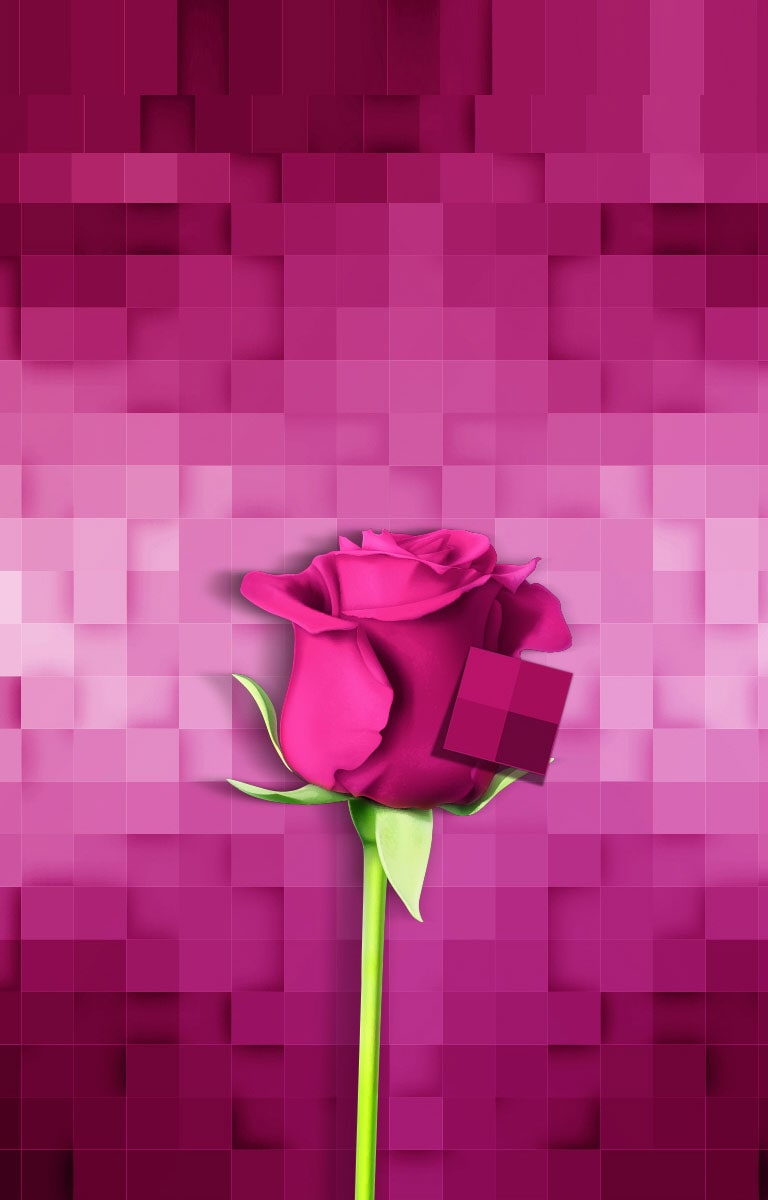 3D spalvų gamos atvaizdavimas2