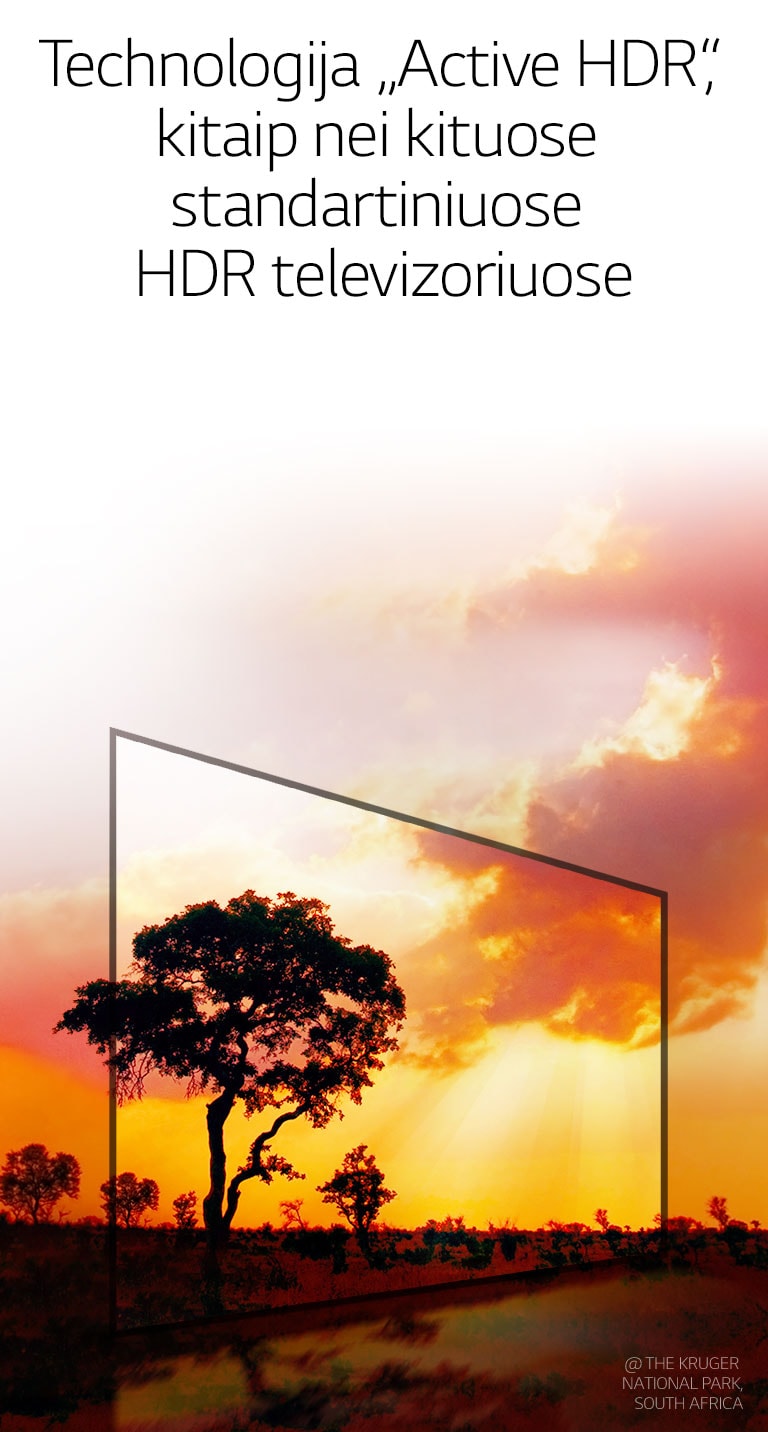 07_Mobile_Active_HDR_with_Dolby_VisionoG_mobile