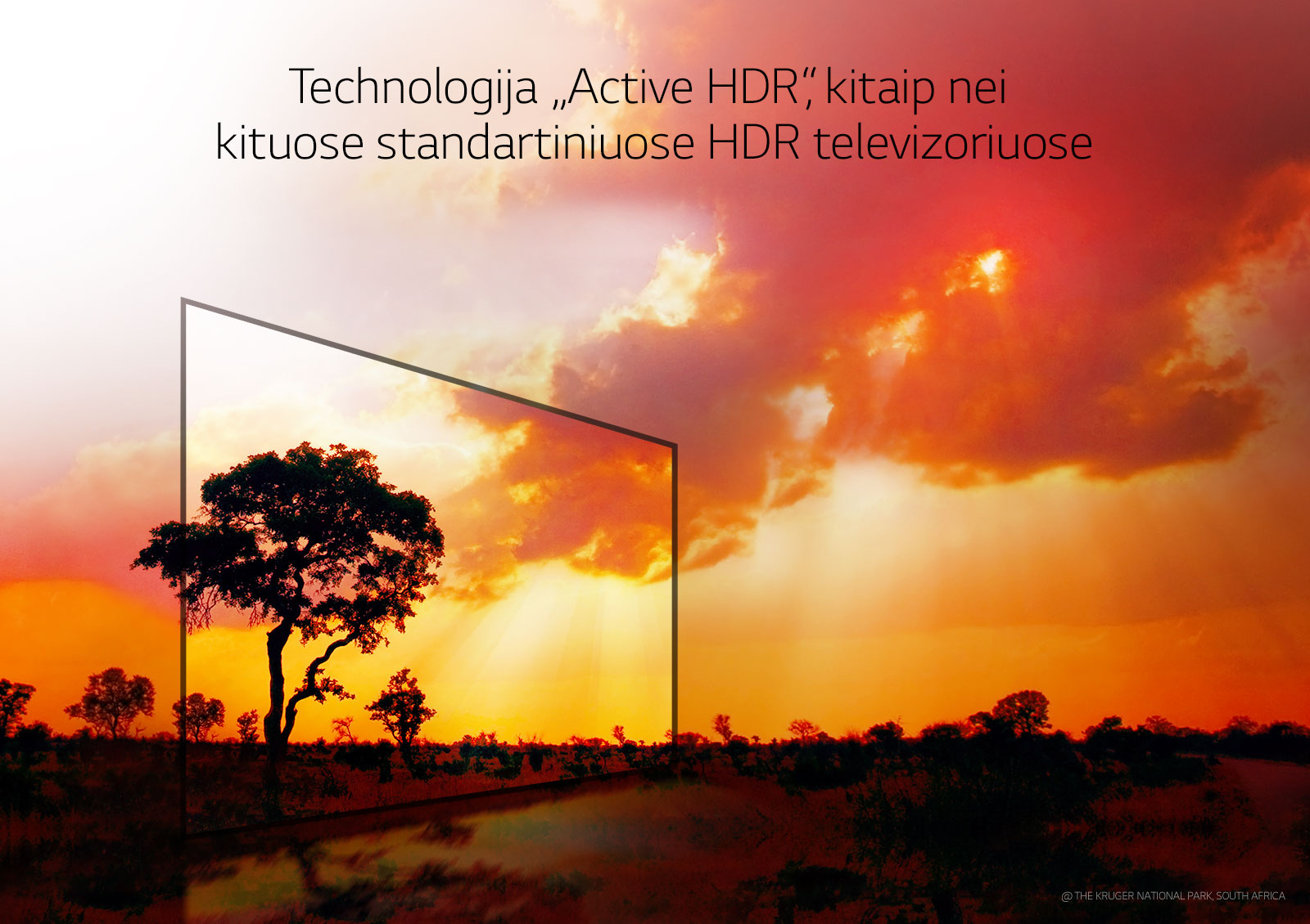 07_SJ85_A_Active_HDR_with_Dolby_VisionoG_new_d