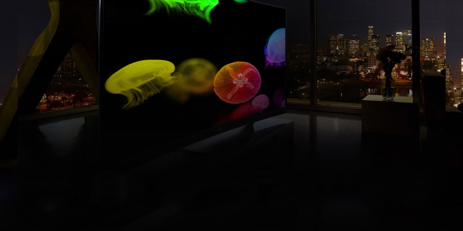LT_Cat-TV_Banner_D