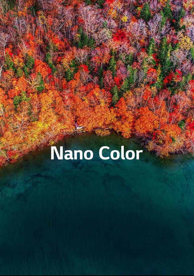 Dar grynesnės spalvos2