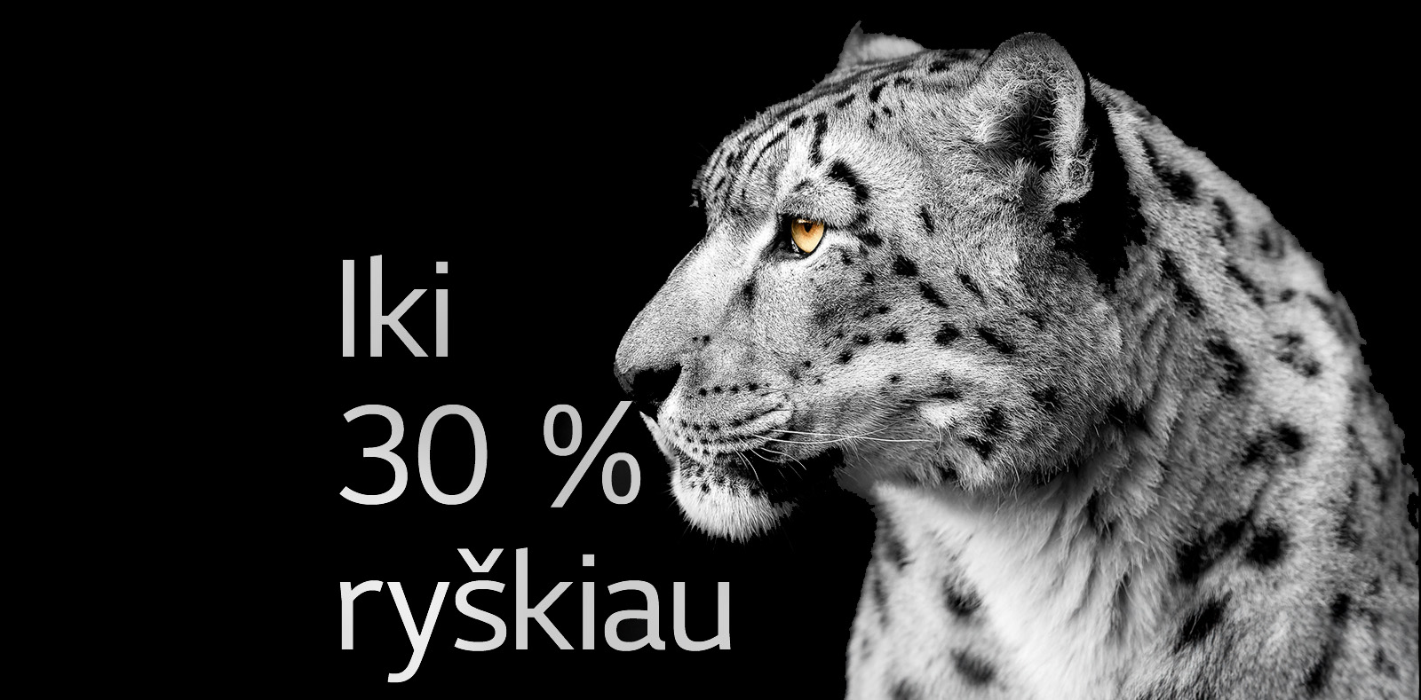 Kairėje paveikslėlio pusėje baltas leopardas rodo savo veidą iš šono. Kairėje pusėje yra užrašas „Iki 30 % ryškiau“.