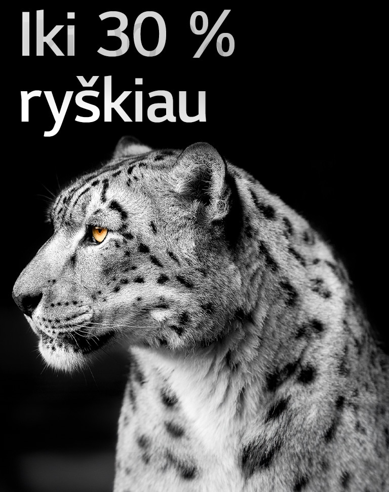 Kairėje paveikslėlio pusėje baltas leopardas rodo savo veidą iš šono. Kairėje pusėje yra užrašas „Iki 30 % ryškiau“.