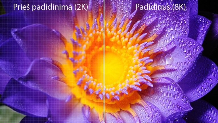 Gėlės vaizdas originalia 2K skiriamąja geba kairėje ir iki 8K padidintas vaizdas dešinėje.