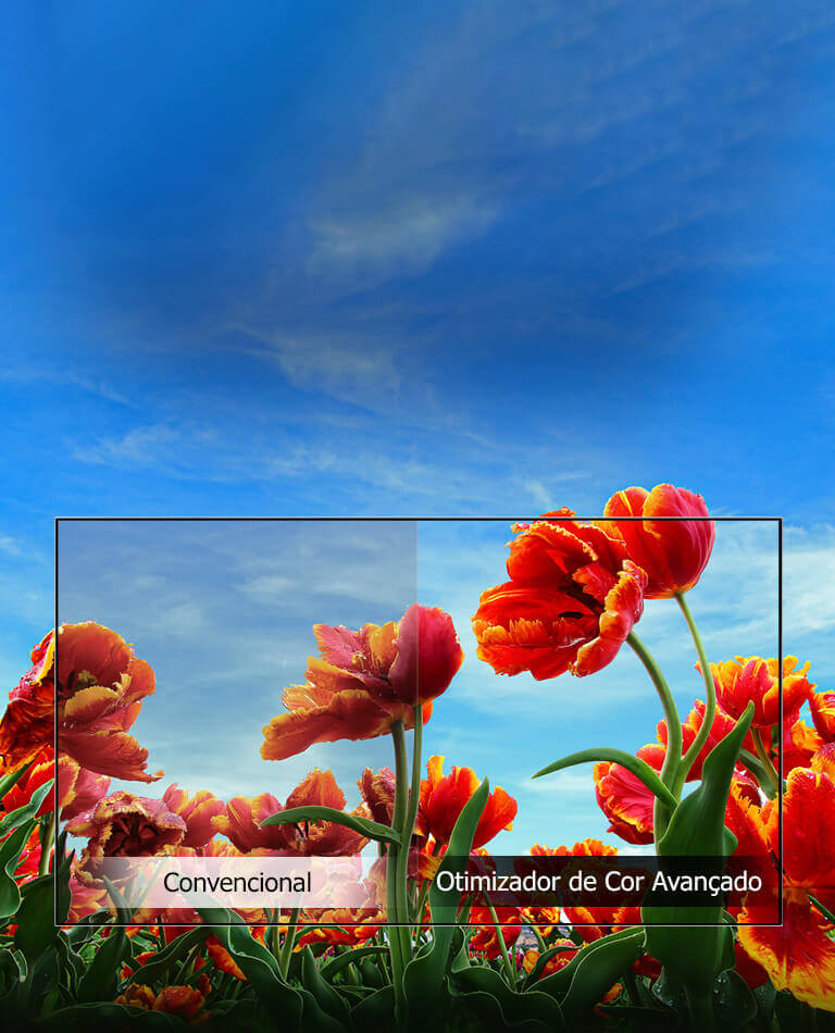 Dinaminė spalvų gerinimo priemonė2