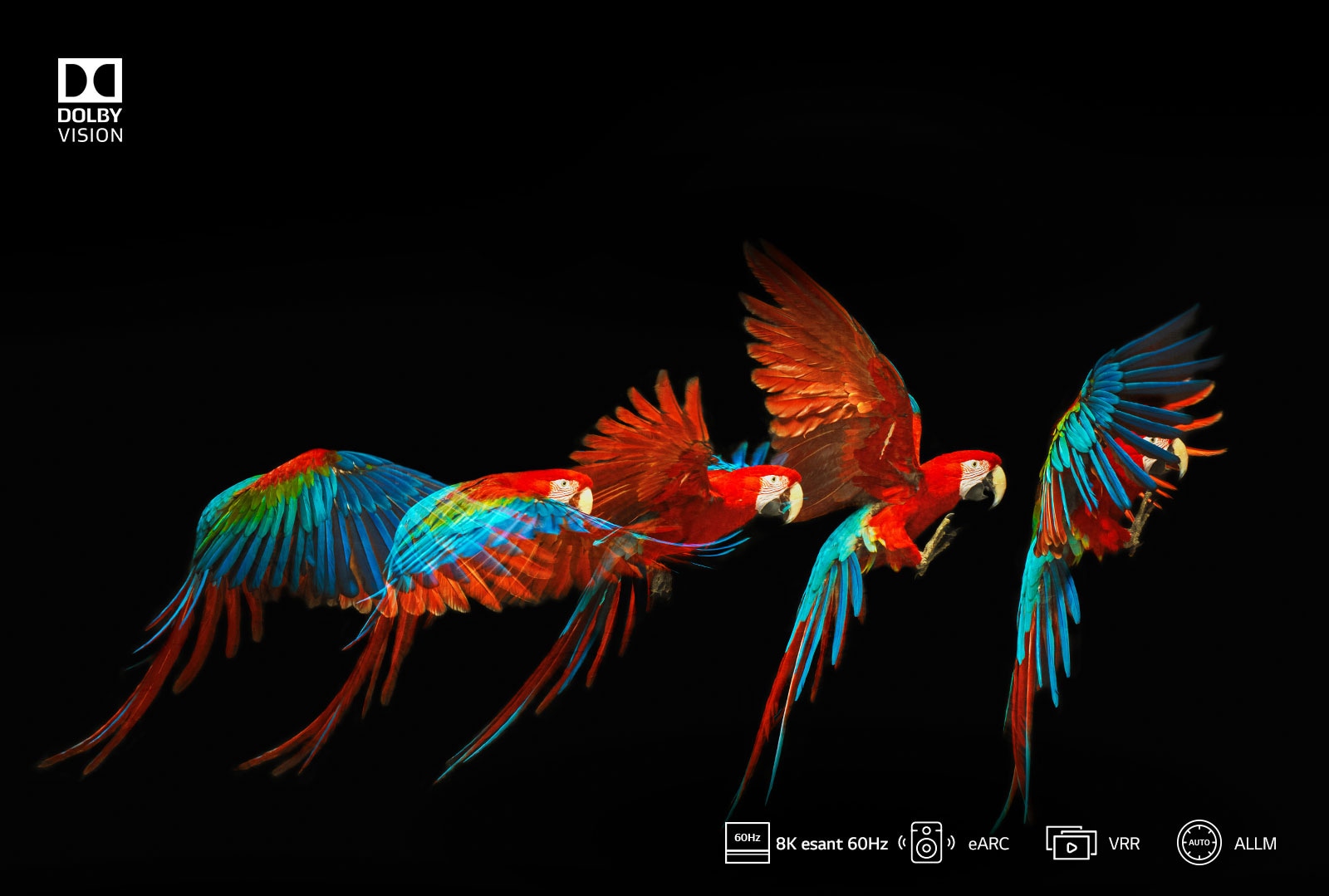 HDMI 2.1* – būtinybė 8K televizoriui1
